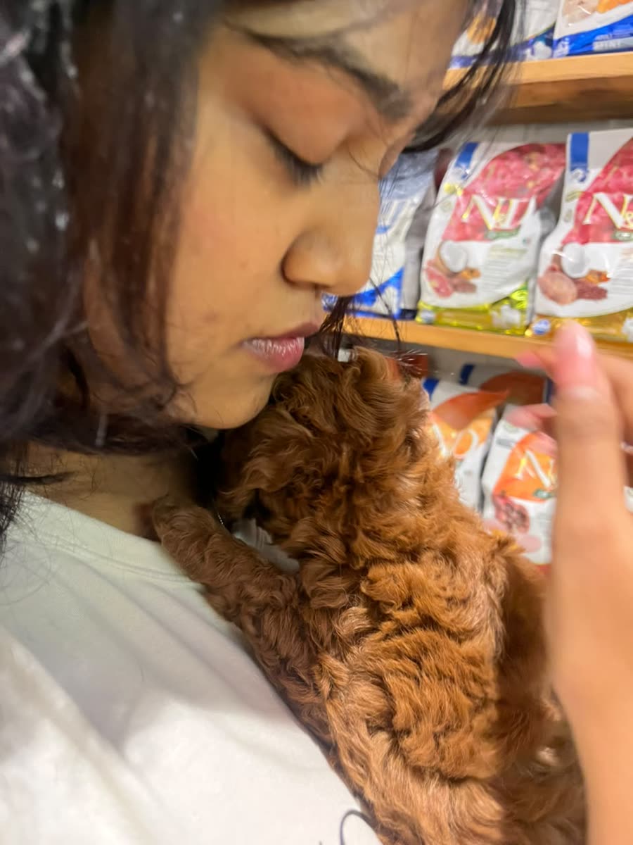 Anamika holding a tiny red poodle puppy